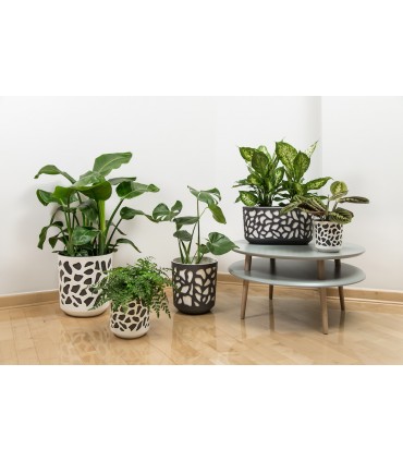 DONICZKA DUET 250 - O/ANTRACYT + W/TAUPE