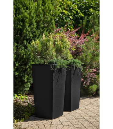 DONICZKA FINEZJA 350x350 DŁUTO - CZARNY