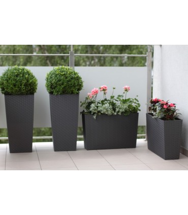 DONICZKA FINEZJA 350x350 RATTAN - GRAFIT METALIK