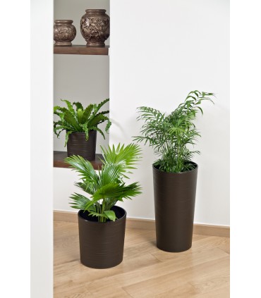 DONICZKA LILIA 300 DŁUTO - MOKKA