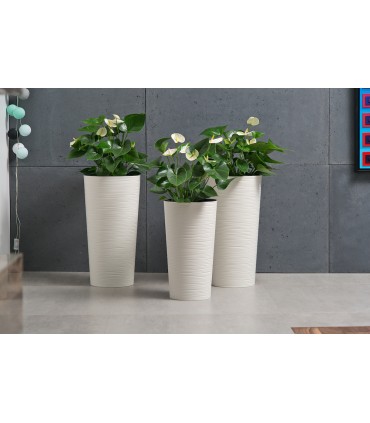 DONICZKA LILIA 300 DŁUTO RECYCLED - KREMOWY