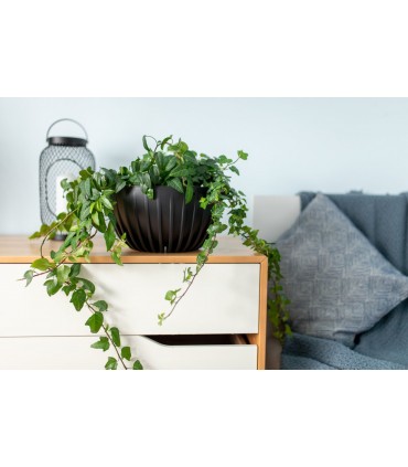 MISA MIRA 240 RECYCLED - CZARNY