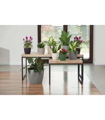 OSŁONKA MAGNOLIA JERSEY 300 - BORDO