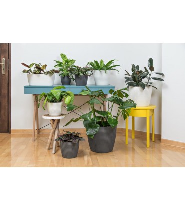 OSŁONKA MAGNOLIA JERSEY 160 - PUDROWY RÓŻ