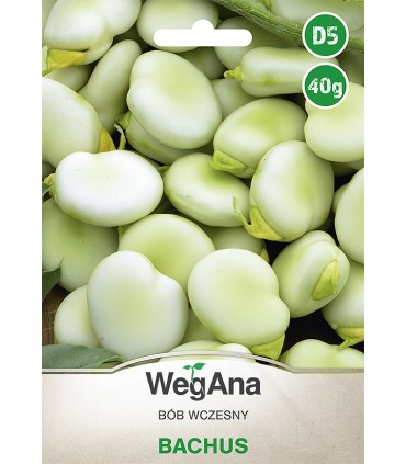 W BÓB BACHUS 40g wczesny /D5/