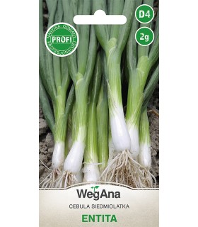 W CEBULA SIEDM. BIAŁA ENTITA 2g /D4/