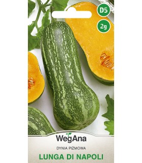 W DYNIA PIŻM. LUNGA DI NAPOLI 2g /D5/