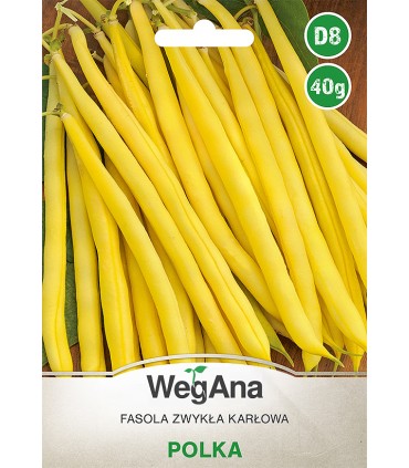 W FASOLA SZPARAG. ŻÓŁTA POLKA 40g /D8/