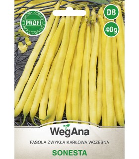W FASOLA SZPARAG. ŻÓŁTA SONESTA 40g /D8/