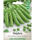 W GROCH CUKROWY CUD KELVEDONU 40g /D3/