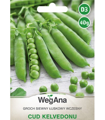 W GROCH CUKROWY CUD KELVEDONU 40g /D3/