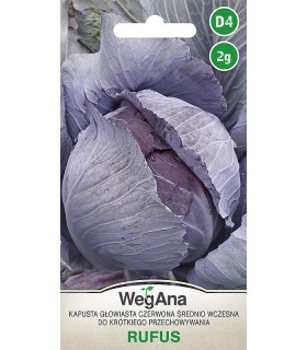 W KAPUSTA CZERWONA RUFUS 2g /D4/