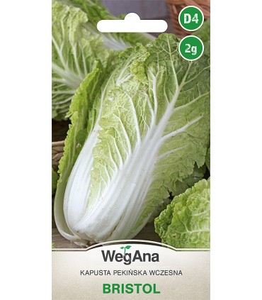 W KAPUSTA PEKIŃSKA BRISTOL 2g /D4/