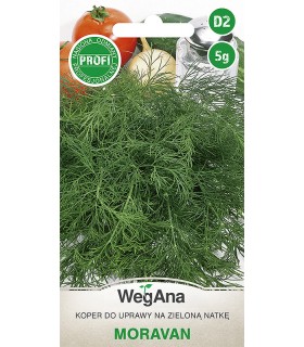 W KOPER MORAVAN 5g /D2/