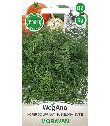 W KOPER MORAVAN 5g /D2/