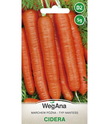 W MARCHEW CIDERA TYP NANTES 5g /D2/