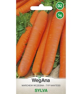 W MARCHEW SYLVIA 5g /D2/