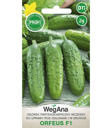 W OGÓREK KONS. PART. ORFEUS  F1 2g /D11/