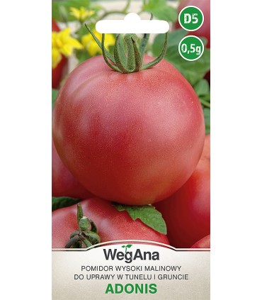 W POMIDOR MALINOWY ADONIS 0,5g /D5/