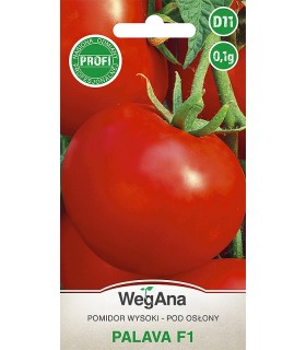 W POMIDOR PALAVA F1 0,1g /D11/
