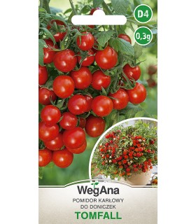 W POMIDOR TOMFALL 0,3g /D4/