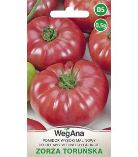W POMIDOR ZORZA TORUŃSKA 0,5g /D5/