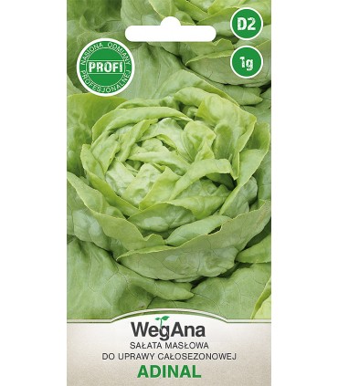 W SAŁATA MASŁOWA ADINAL 1g /D2/