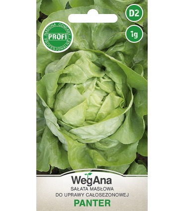 W SAŁATA MASŁOWA PANTER 1g /D2/