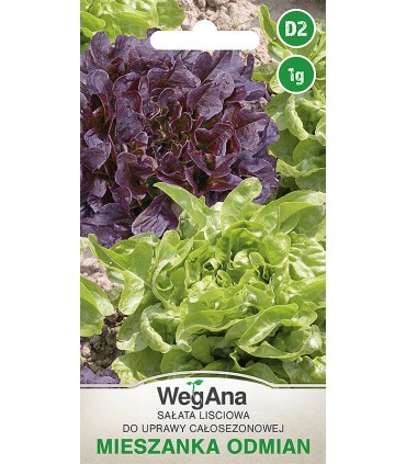 W SAŁATA MIESZANKA ODMIAN 1g /D2/