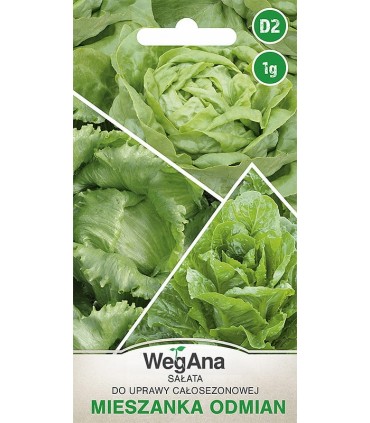 W SAŁATA MIESZANKA ODMIAN ZIELONE 1g /D2/