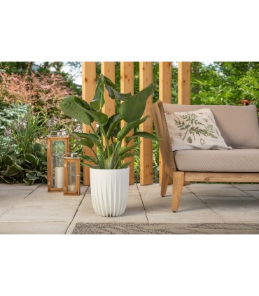 DONICZKA MIRA 190 - SZARY