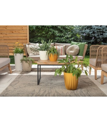 DONICZKA MIRA 250 - MUSZTARDOWY