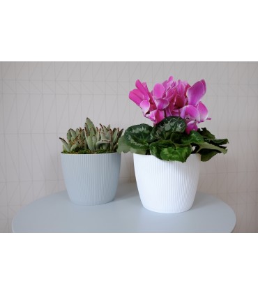 OSŁONKA MAGNOLIA JUMPER 300 - MUSZTARDOWY