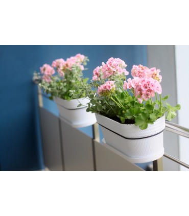 SKRZYNKA BALKON. JERSEY 500 - CEGLASTY