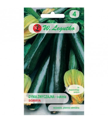 LW - DYNIA CUKINIA SORAYA 2g /2/