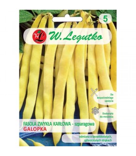 LW - FASOLA KARŁOWA ŻÓŁTA GALOPKA 40G /3/