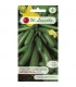 LW - DYNIA CUKINIA ASTRA POLKA 3g /2/