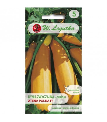 LW - DYNIA CUKINIA ATENA POLKA F1 3g /3/