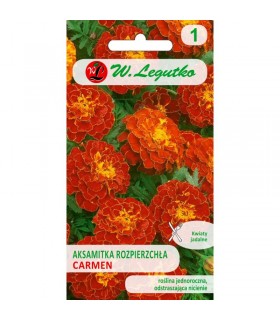 L - AKASMITKA ROZP. PEŁNA CARMEN 1,5g /1/