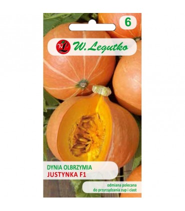 LW - DYNIA OLBRZYMIA JUSTYNKA F1 4g /3/