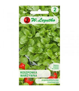 LW - ROSZPONKA WARZYWNA VERTE DE CAMBRAI 2g /1/