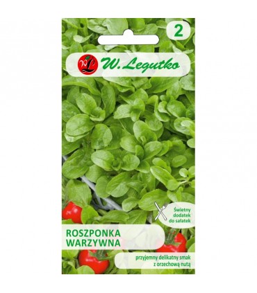 LW - ROSZPONKA WARZYWNA VERTE DE CAMBRAI 2g /1/