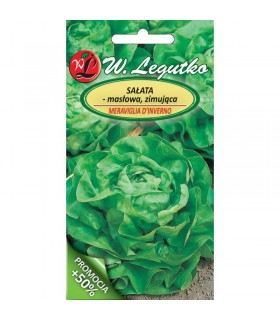 LW - SAŁATA ZIMUJĄCA MERAV. D'IVERNO P 1,5G /2/