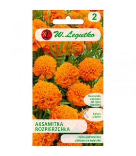 L - AKSAMITKA ROZP. PEŁNA POMARAŃCZ. 1G /1/