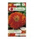 L - CYNIA DALIOWA POMARAŃCZ. ORANGE KING 1G /1/