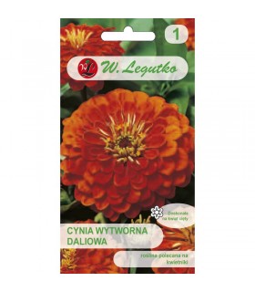 L - CYNIA DALIOWA POMARAŃCZ. ORANGE KING 1G /1/