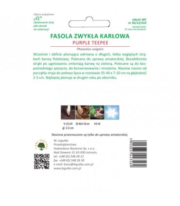LW - FASOLA KARŁOWA PURPLE TEEPEE 40G /3/