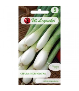 LW - CEBULA SIEDM. WINTER NEST 2g /3/