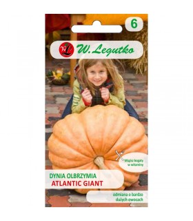 LW - DYNIA OLBRZYMIA ATLANTIC GIANT 3g /3/