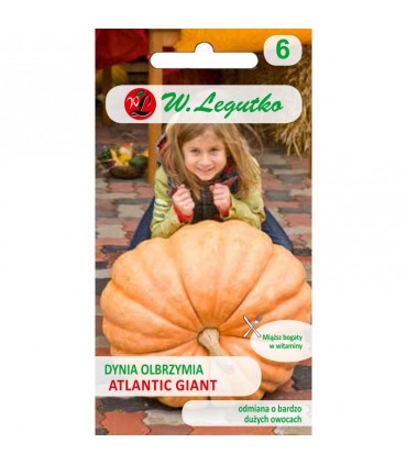 LW - DYNIA OLBRZYMIA ATLANTIC GIANT 3g /3/